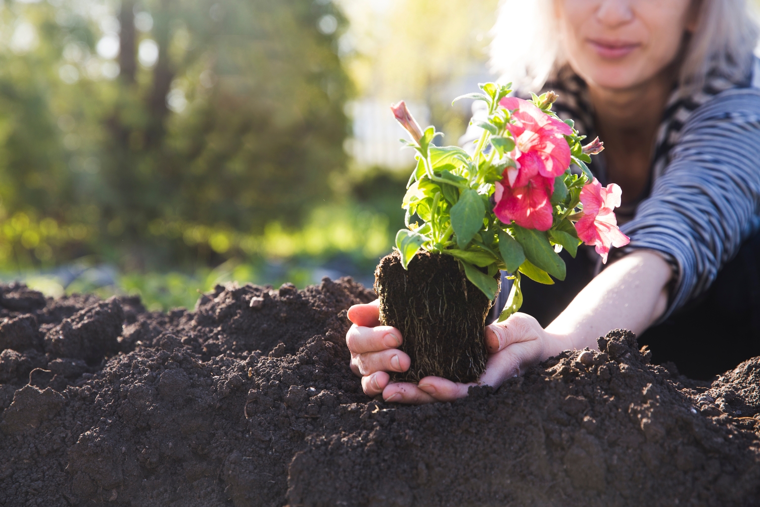 Concept,Of,Earth,Day,,Organic,Gardening,,Ecology.,Woman,Hands,Putting